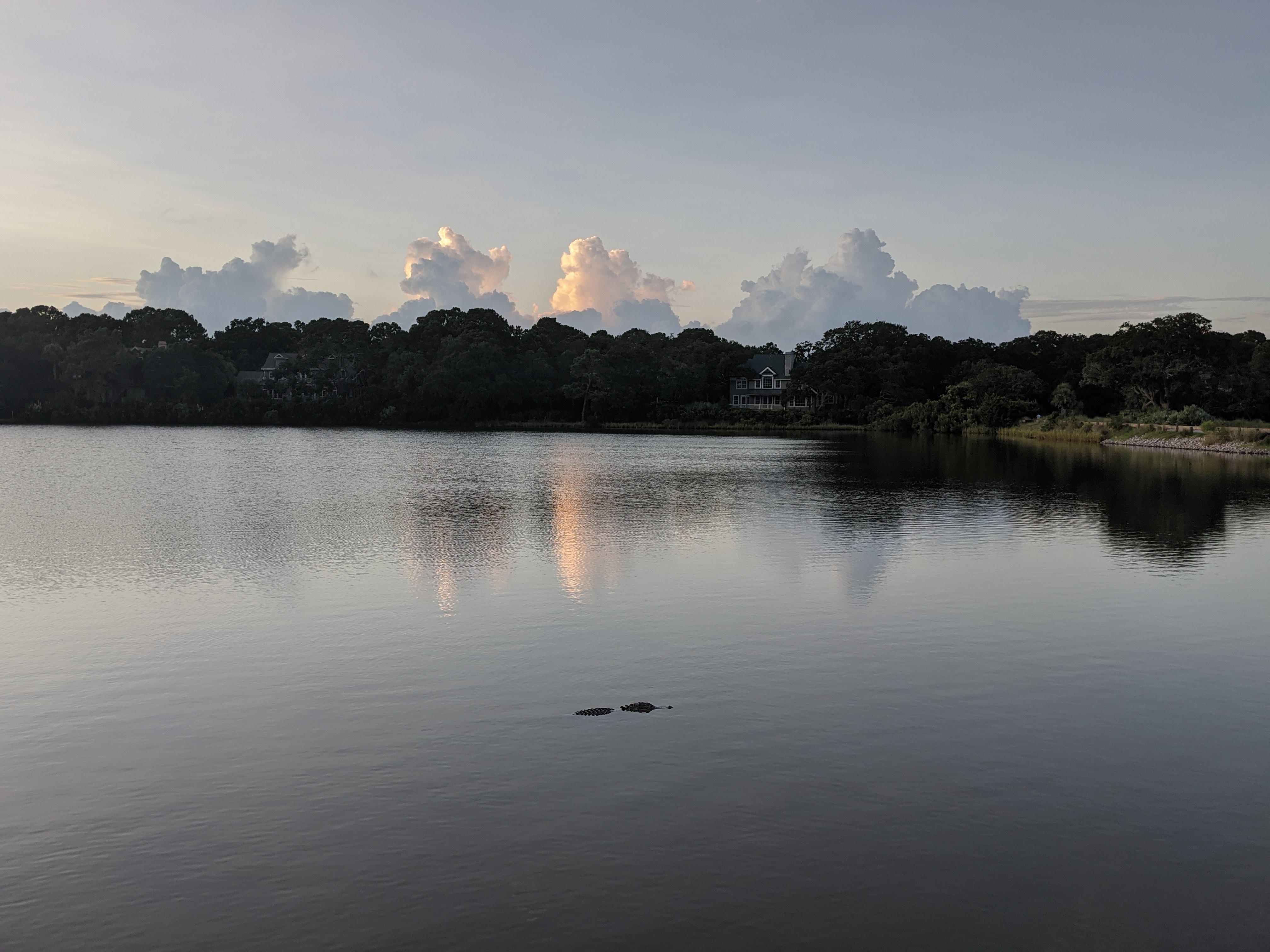 PXL 20200913 231715669