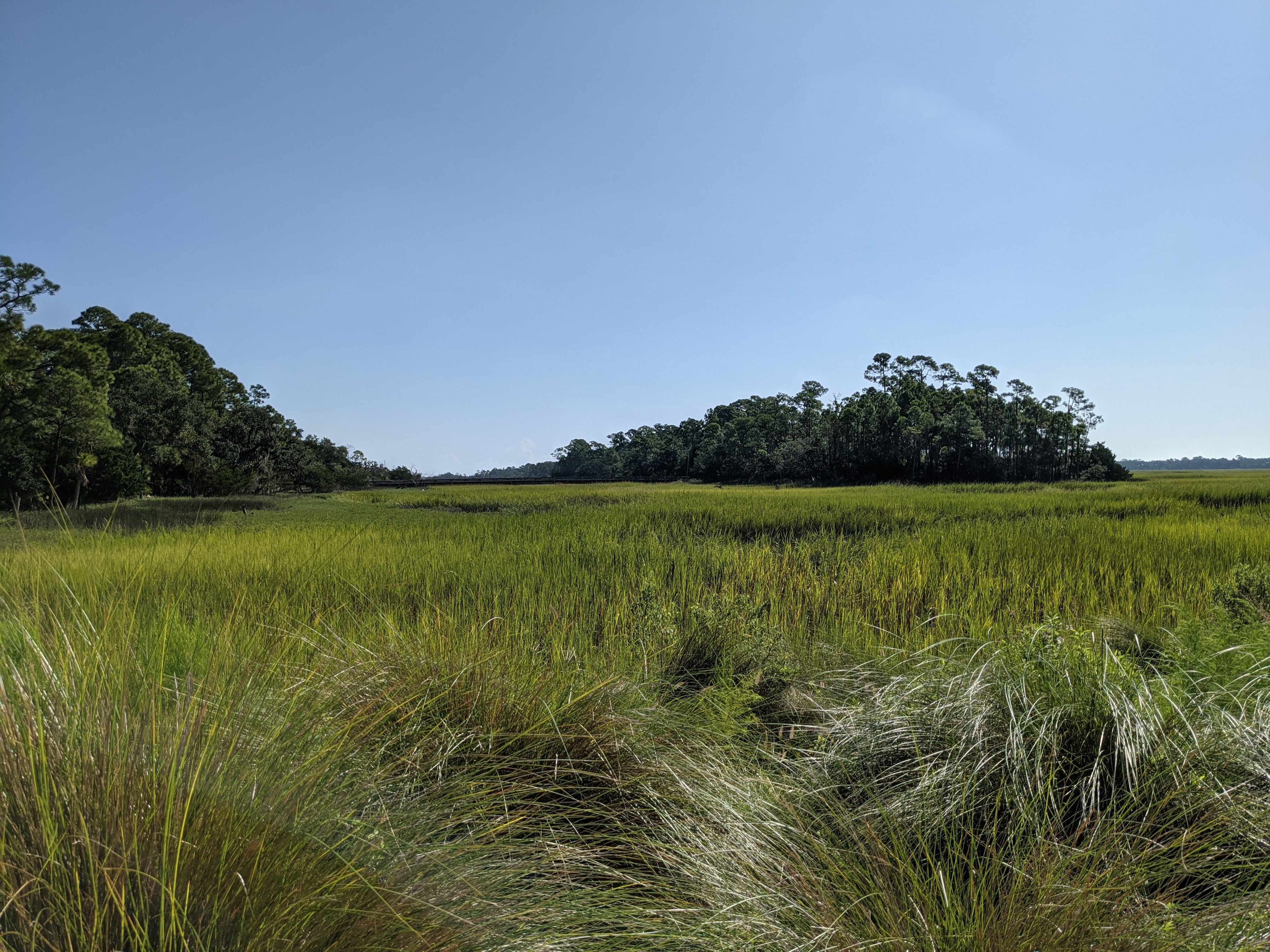 PXL 20200914 143128626