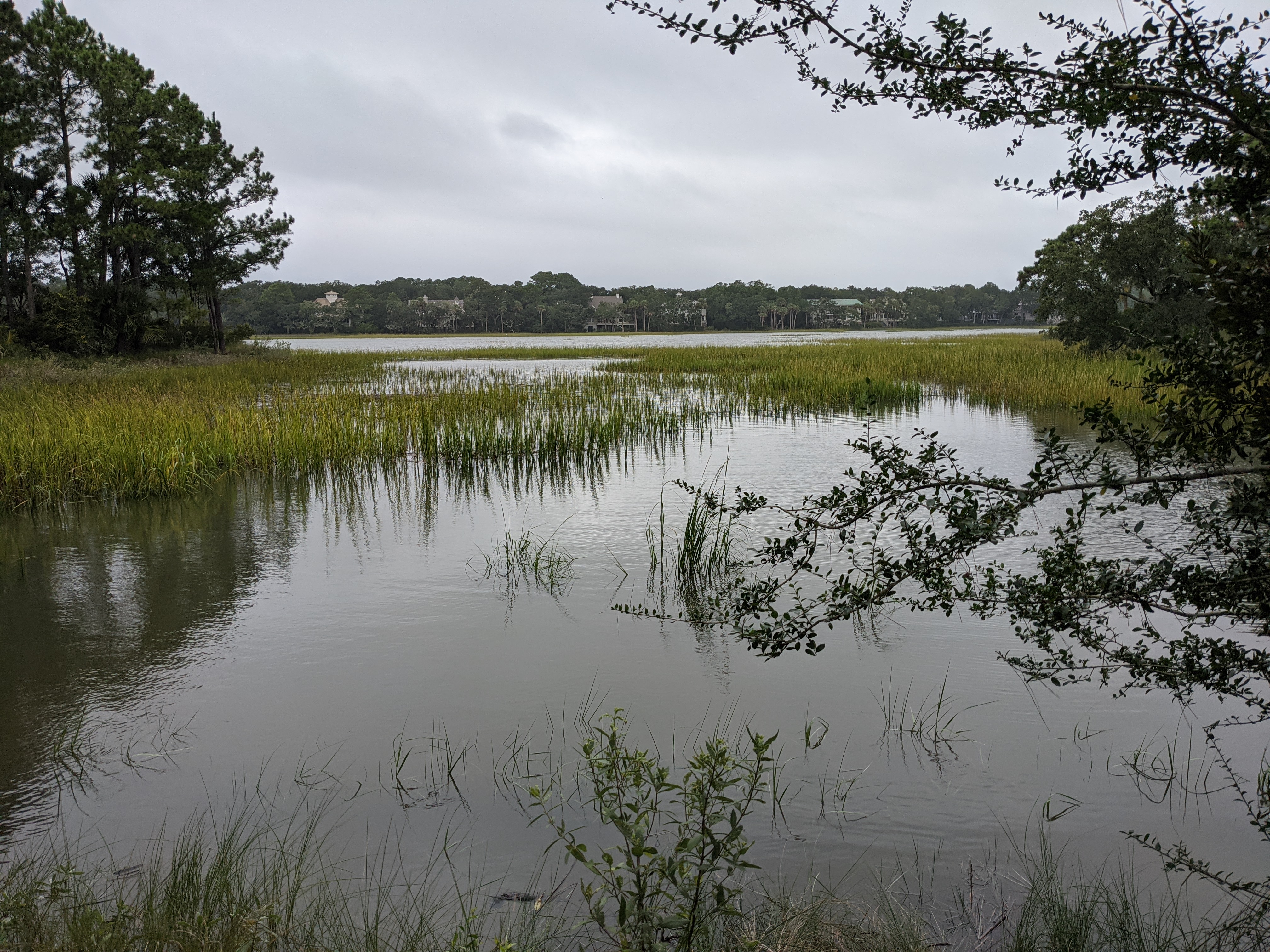 PXL 20200916 131428661