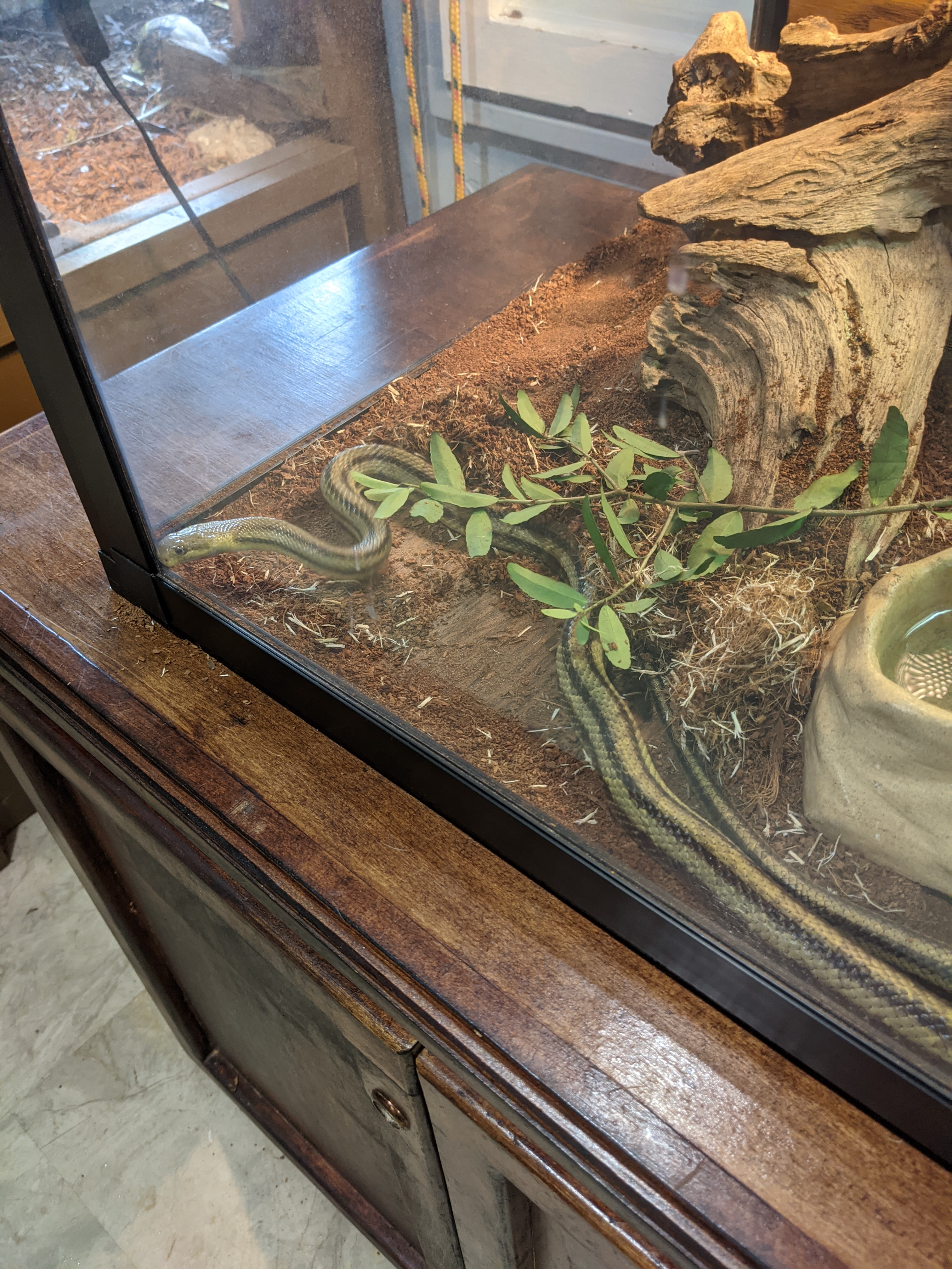 PXL 20200918 191531050