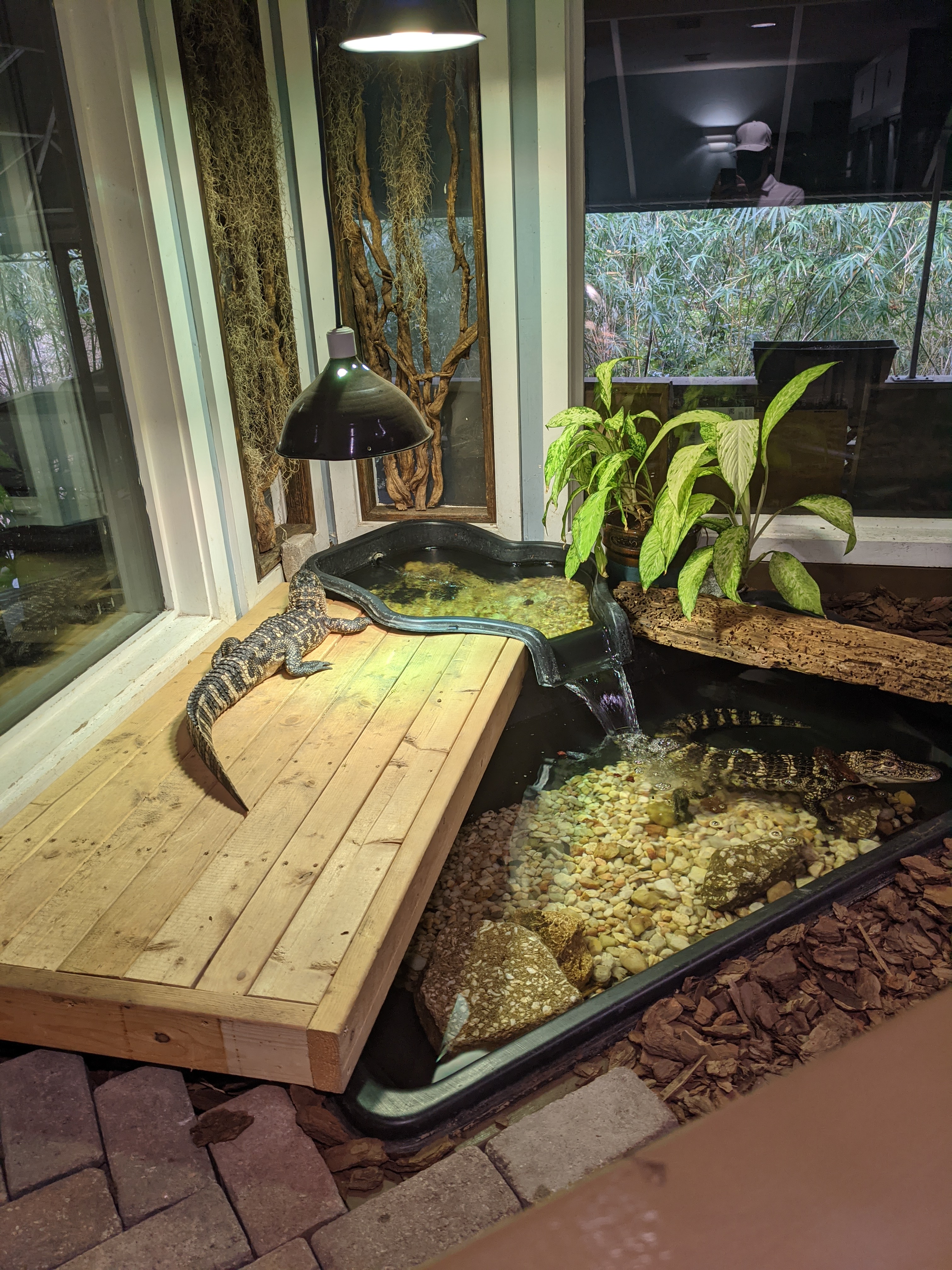 PXL 20200918 191548058