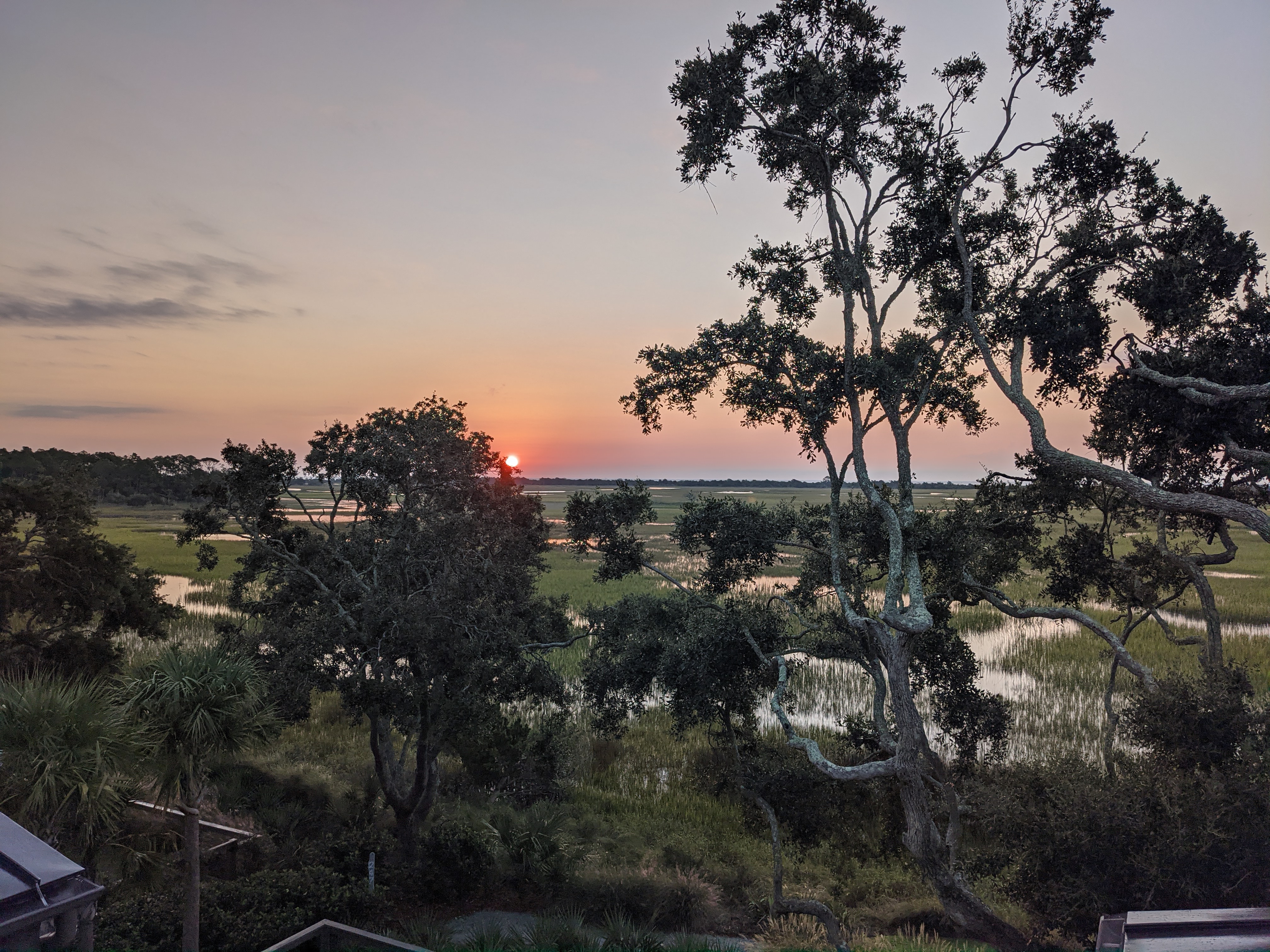 PXL 20201014 112914422