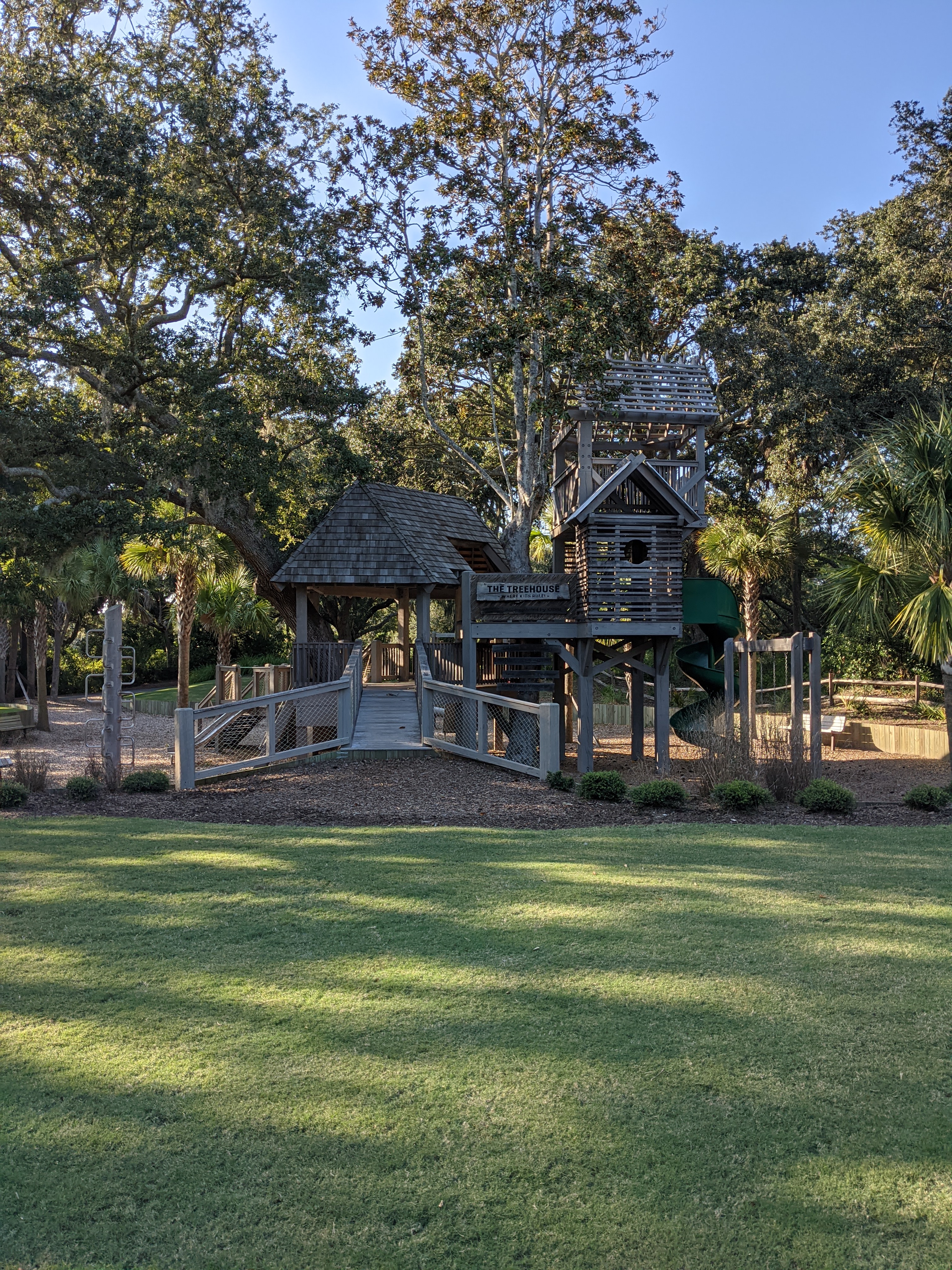 PXL 20201014 205147852