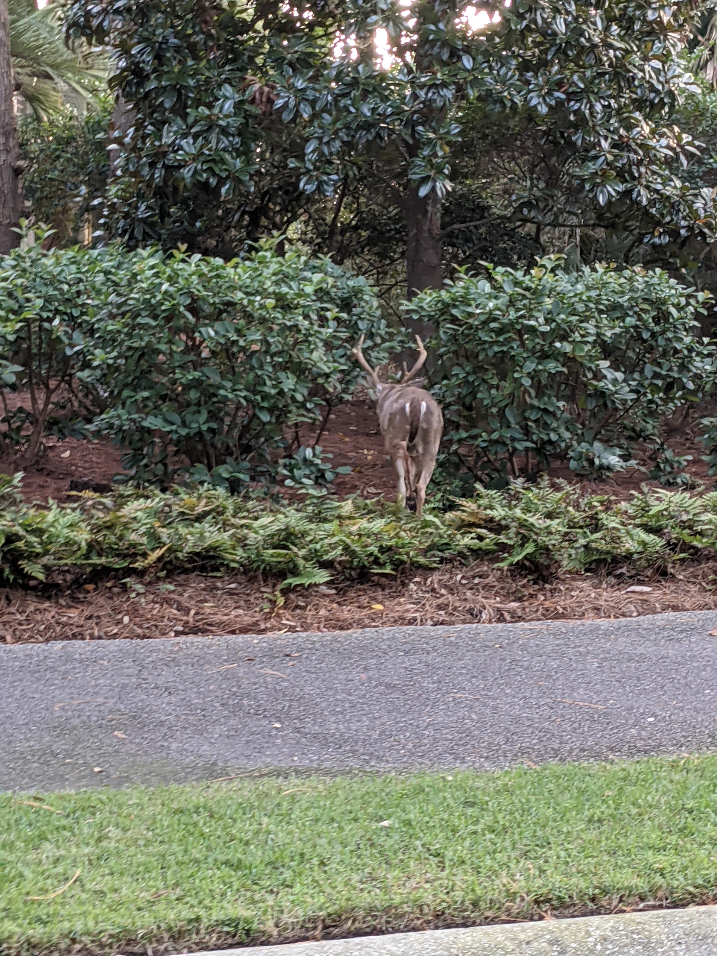 PXL 20201016 211558896