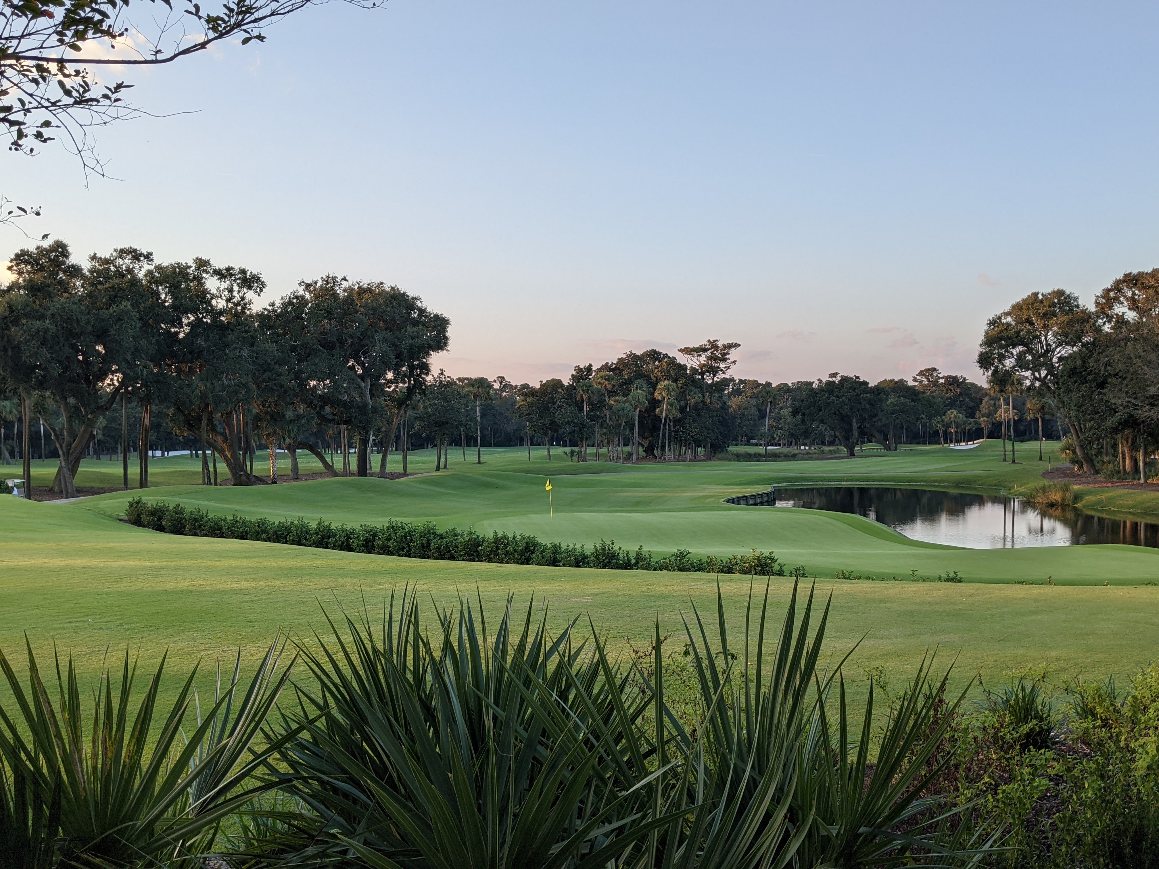 PXL 20201016 222220285