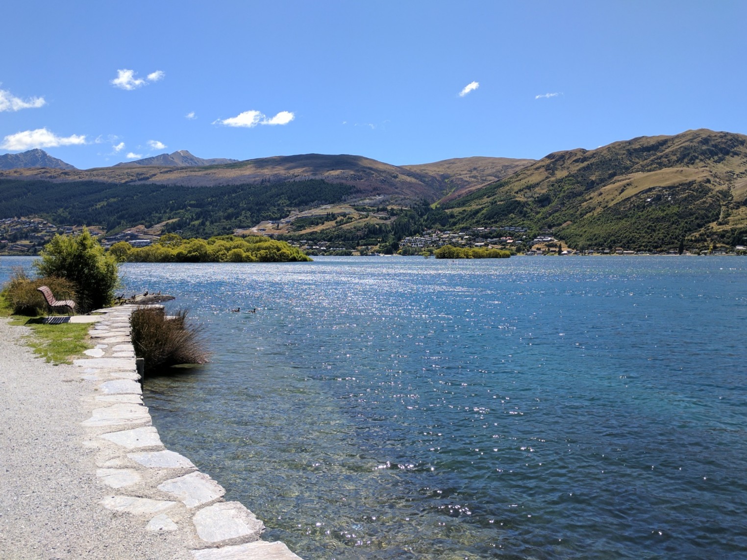 IMG 20170123 151913~2