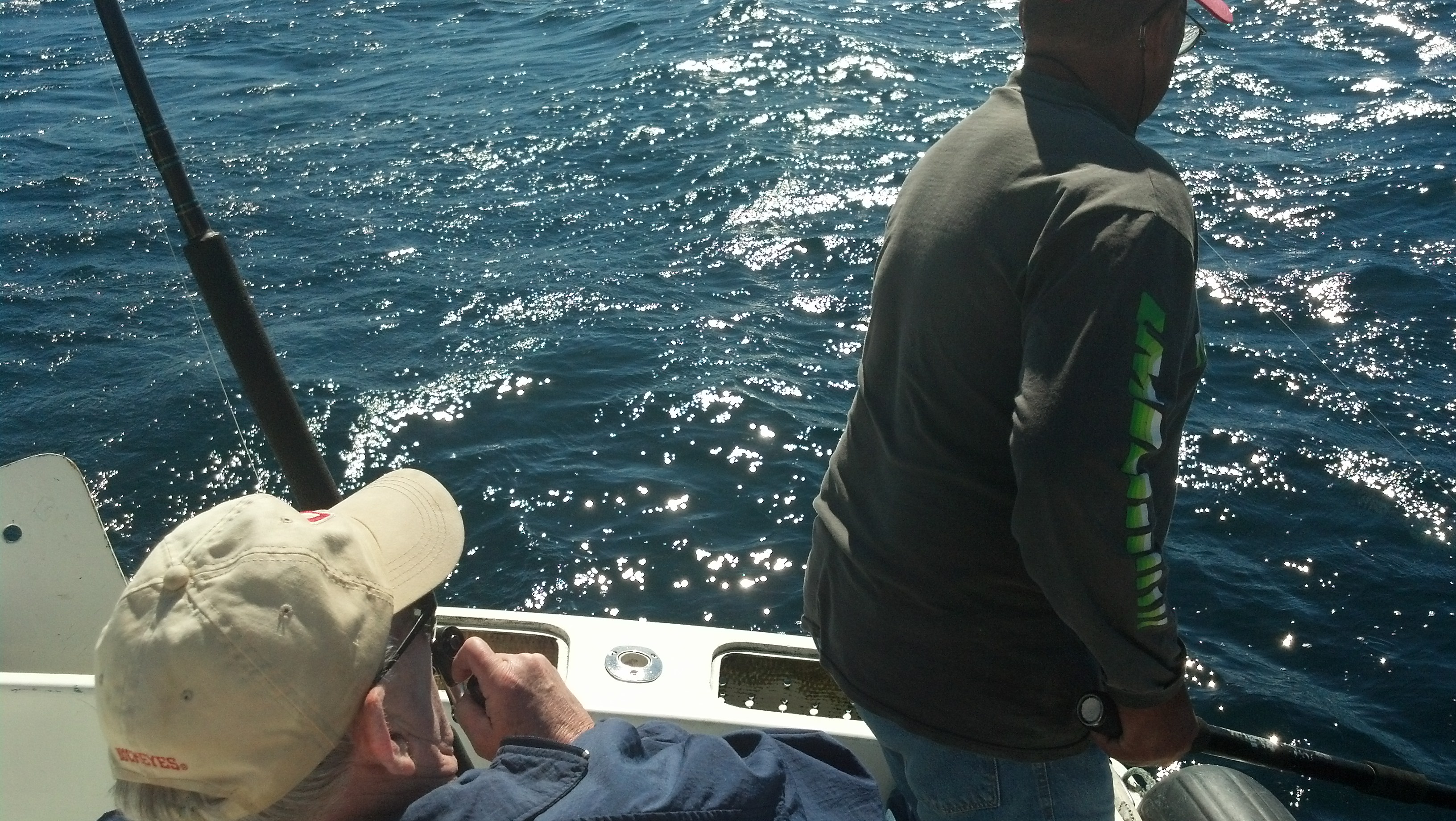 IMG 20140113 120009 737