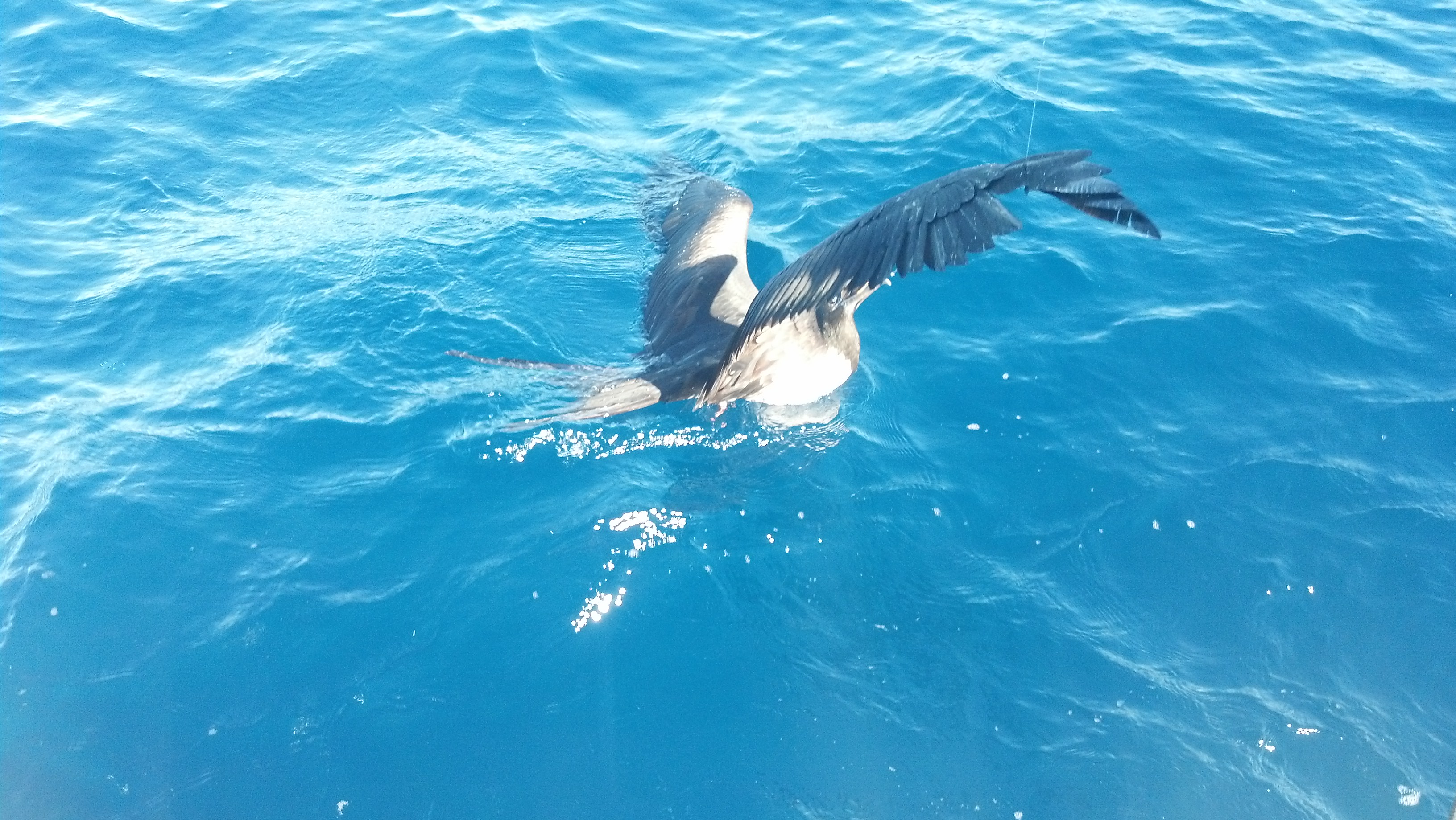 IMG 20140115 102855 788