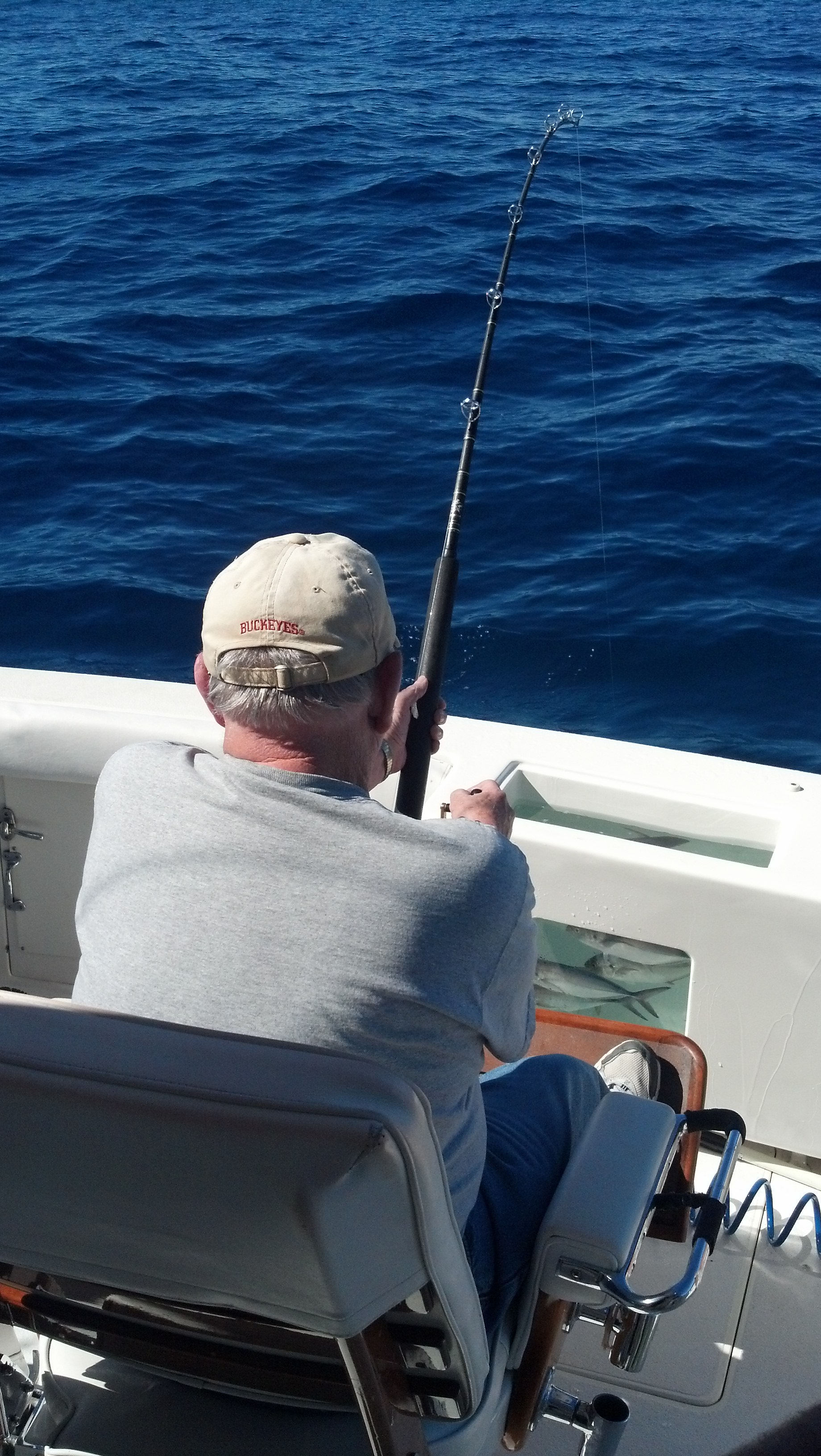 IMG 20140115 132031 966