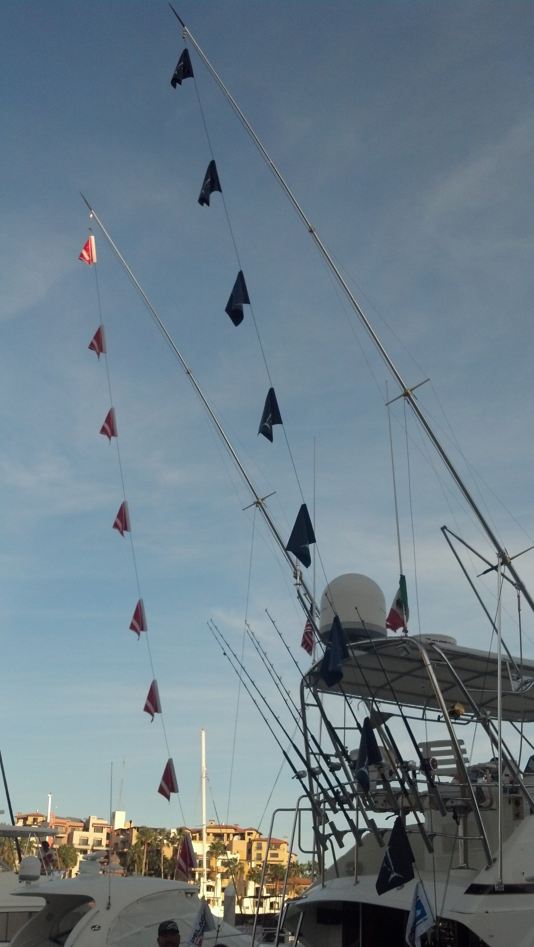 IMG 20140115 170752 784