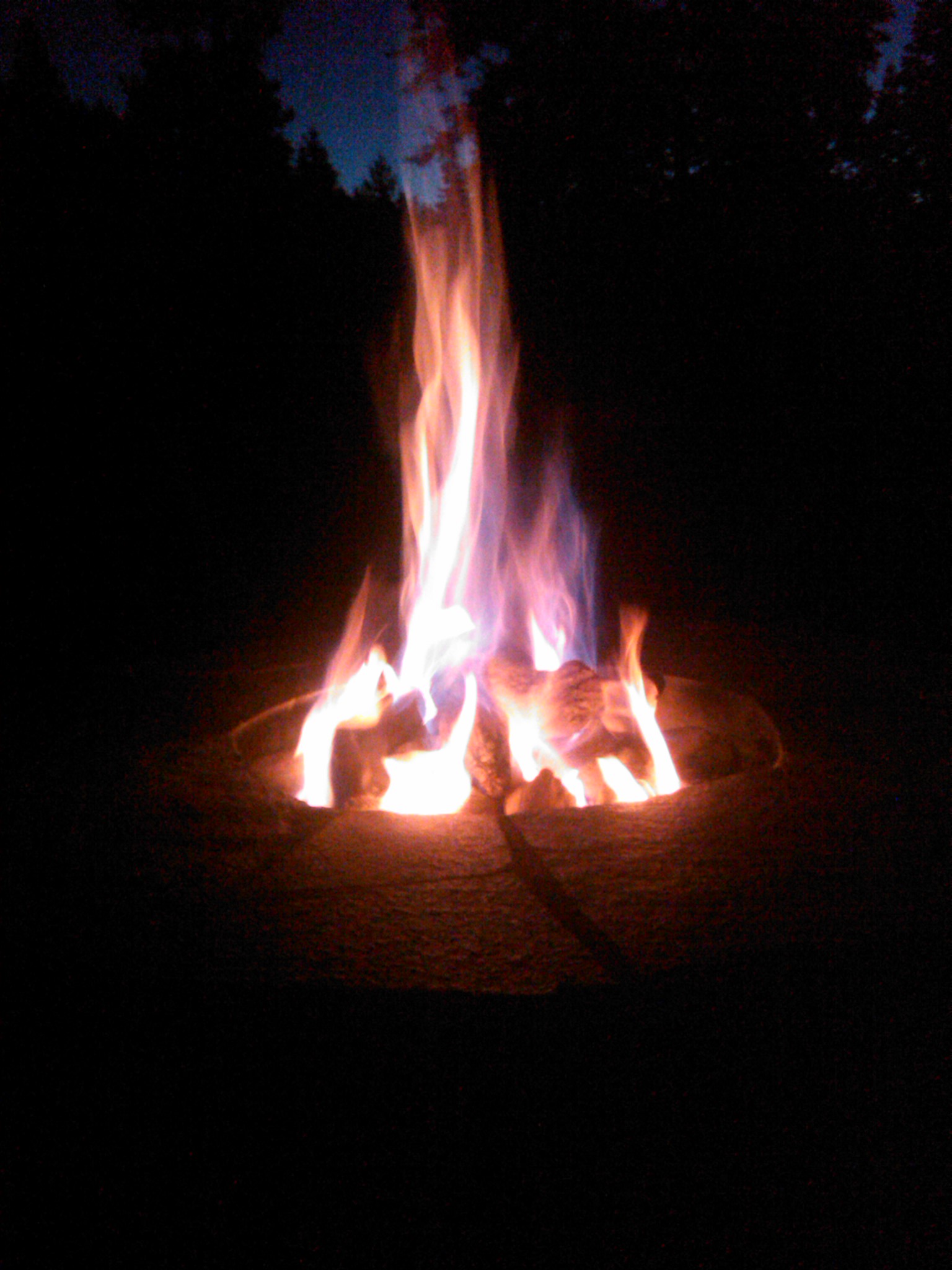 IMG00220 20110711 2119