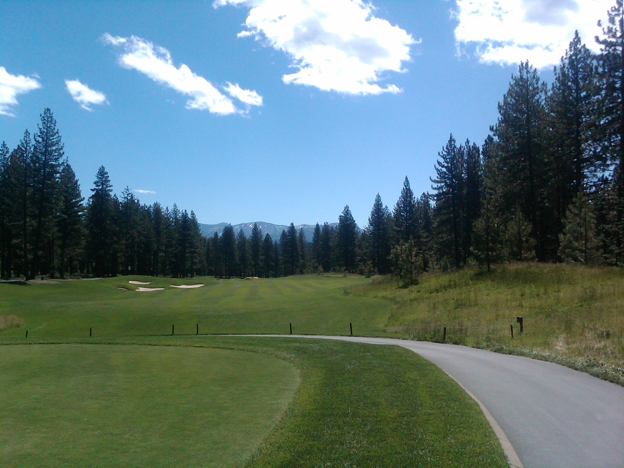 IMG00240 20110713 1053