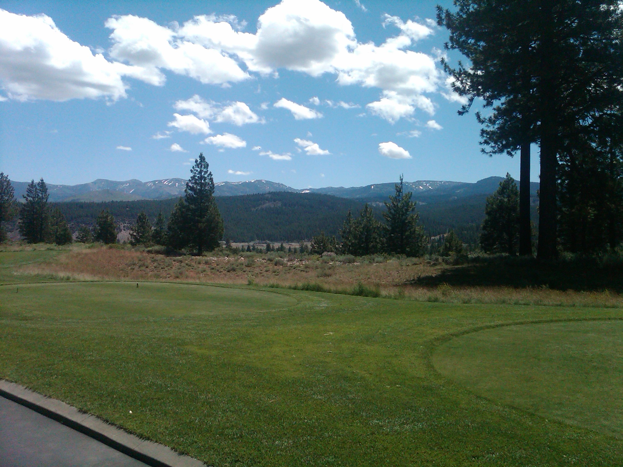 IMG00245 20110713 1152