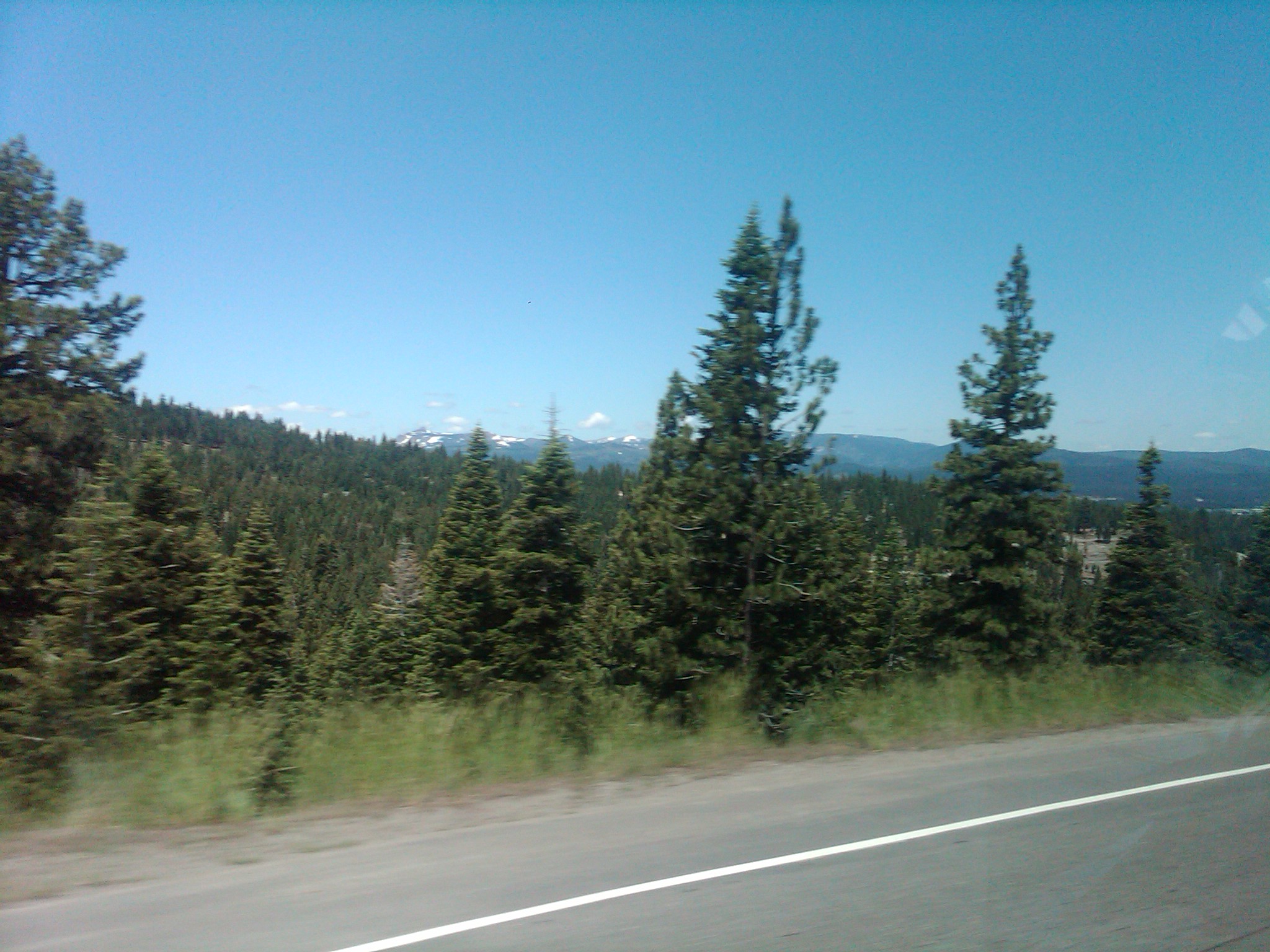 IMG00263 20110716 1154