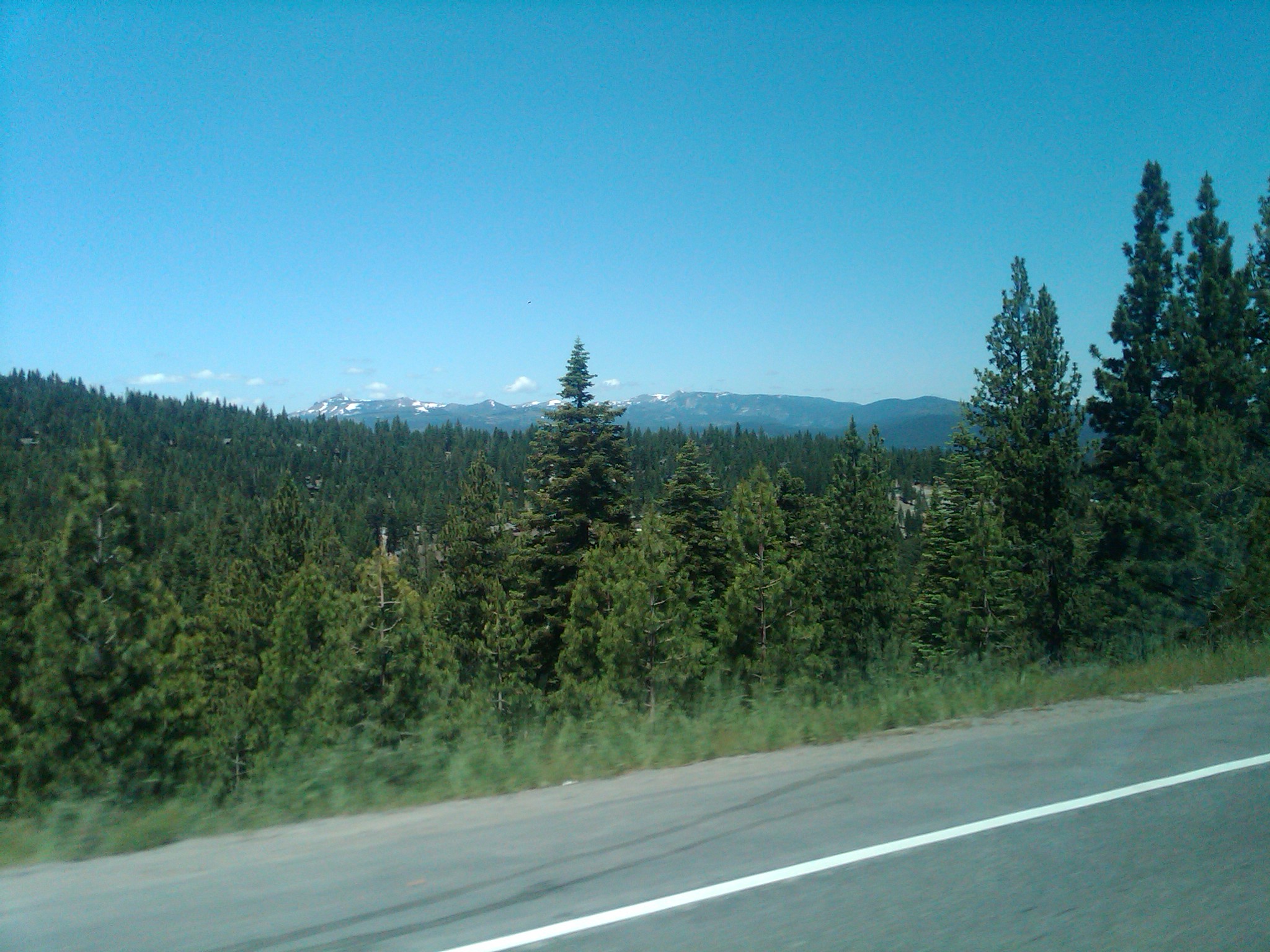 IMG00264 20110716 1154