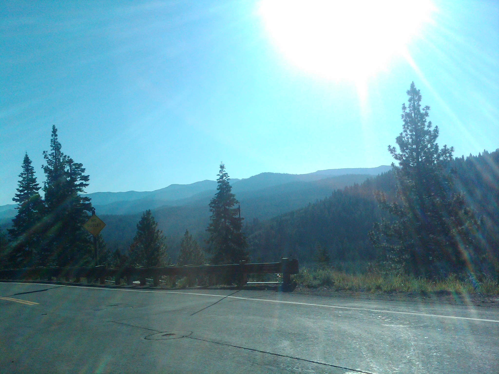 IMG00274 20110717 0803